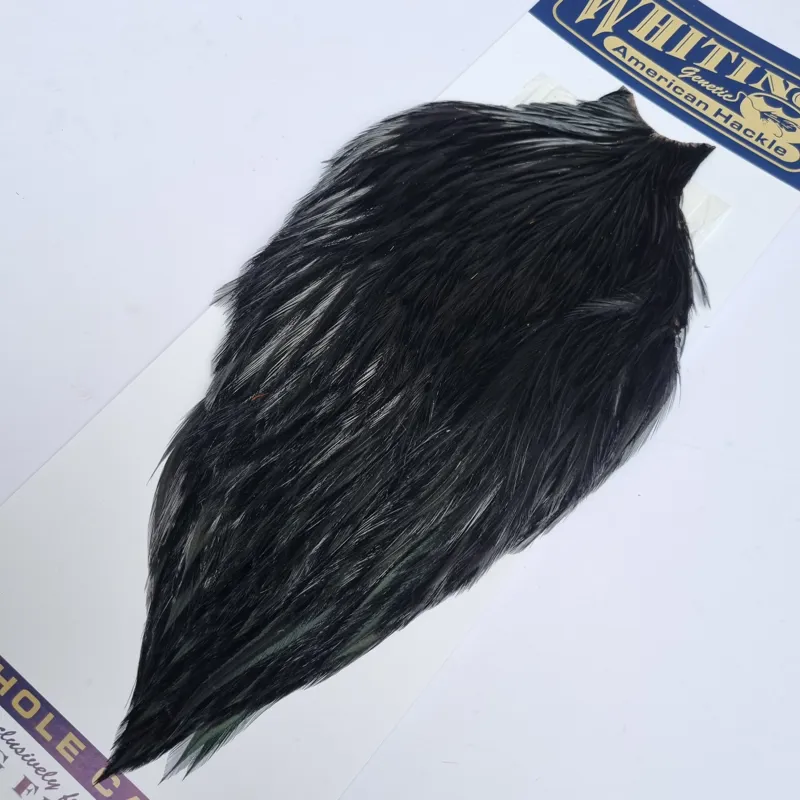 Whiting American Rooster Cape in  Black-7